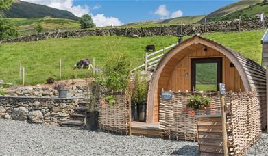 Glamping Pod exterior at The Yan Glamping in Grasmere, Lake District