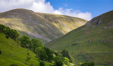 Deepdale Horseshoe