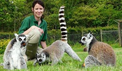 Ultimate Animal Experience at The Lake District Wildlife Park in Bassenthwaite, Lake District