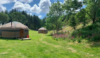 Yurts and Woodland at Long Valley Yurts - Coniston, Lake District