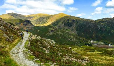 Lakes Epic Mountain Bike Tour from Saddle Skedaddle