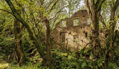 Photograph of an abandoned mill by Lee Whitworth