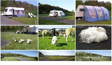 Low Moor Head Caravan Park near Longtown, Cumbria