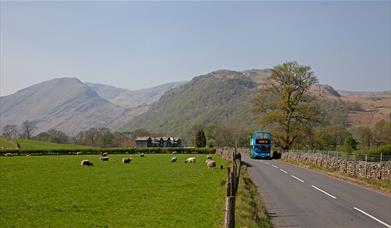 Stagecoach Buses