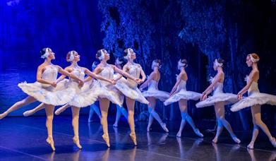A still from the ballet "Swan Lake". showing a group of 9 ballerinas