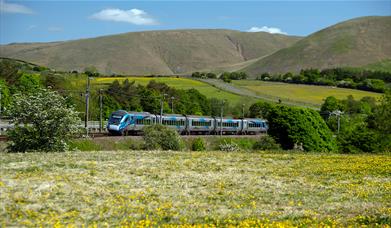TransPennine Express