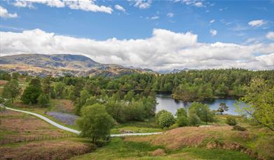 Walkers in the Lake District, Cumbria