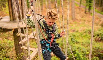 A child navigating a high ropes course