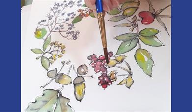 someone painting a botanical illustration with watercolors.