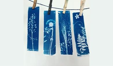 a photo of some cyanotype work being hung on a rope by pegs
