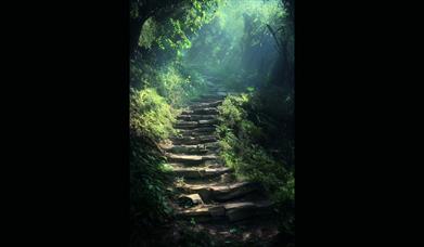 Flourish After: 45 Vision, Purpose, Renewal, and Support for Life After 45