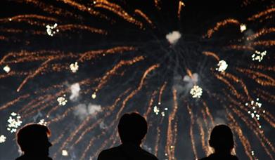 people watching fireworks