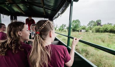 Tractor Tours for Schools & Group Visits to Walby Farm Park in Walby, Cumbria