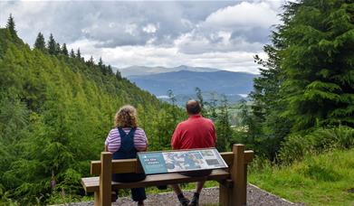 Couple Sitting on a Bench on the Wow Trail at Whinlatter Forest in the Lake District, Cumbria