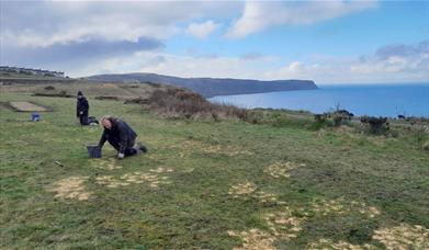 A ranger planting spring seeds on the coast of cumbria