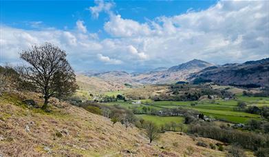 Eskdale