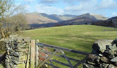 Fairfield Horseshoe