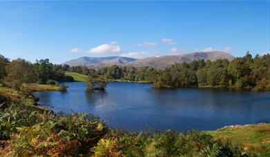 A photo of a lake in Cumbria