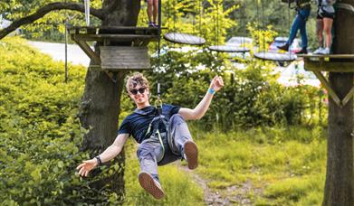 Treetop Trek at Zip World Windermere