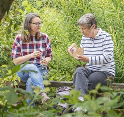 Using Medicinal Herbs at Home