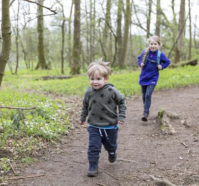 Tree 'Top Trumps' Trail