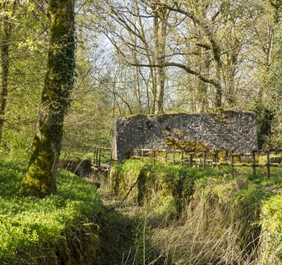 Heritage Open Day: Gunpowder Works Walks