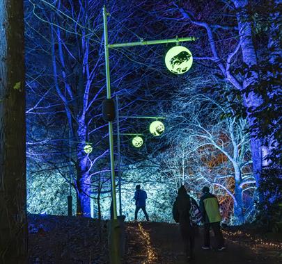 a night-time outdoor scene at Sizergh with several people walking along a path through a forest. The trees are illuminated with vibrant blue and white