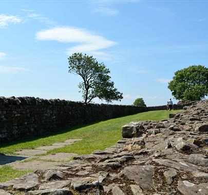 Banks East Turret; Hadrian's Wall