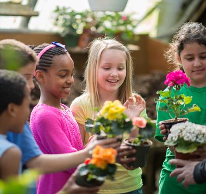 Plant Pot Painting and Flower Planting