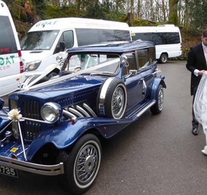 Mountain Goat Wedding Transfers