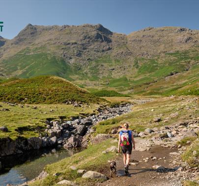 Visitor on a Walking Holiday with Coast to Coast Packhorse in the Lake District, Cumbria