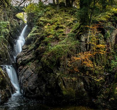 Beautiful natural scenery at Aira Force Waterfall in Matterdale, Lake District © National Trust Images, John Malley