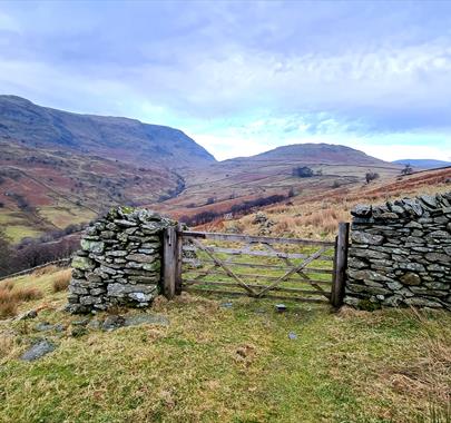 Photo of a fence in Cumbria surrounded either side by a stone wall