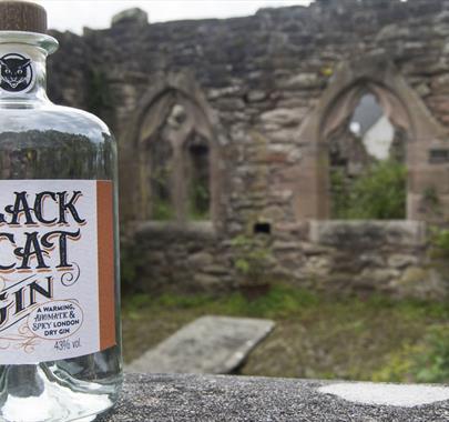 Black Cat Gin at Black Cat Distillery at Brougham Castle near Penrith, Cumbria