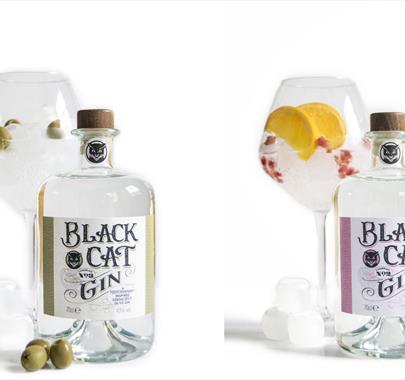 Gins from Black Cat Distillery at Brougham Castle near Penrith, Cumbria