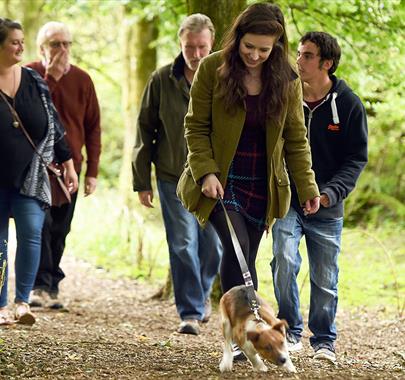 Dog walking at Sizergh Castle, Lake District © National Trust Images