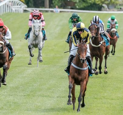 Cartmel Racecourse in Cartmel, Cumbria