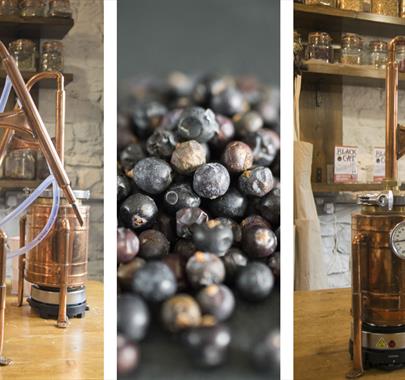 Stills and Juniper Berries at Gin Making Workshops at Black Cat Distillery at Brougham Castle near Penrith, Cumbria