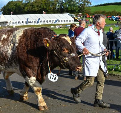 Westmorland County Agricultural Show
