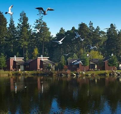 Lakeside Accommodation at Center Parcs Whinfell Forest near Penrith, Cumbria