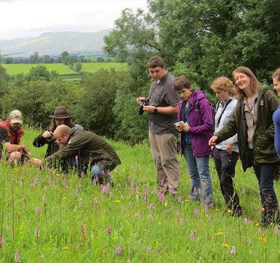 Wildlife and Nature Walk with Cumbria Wildlife Trust in the Lake District & Cumbria