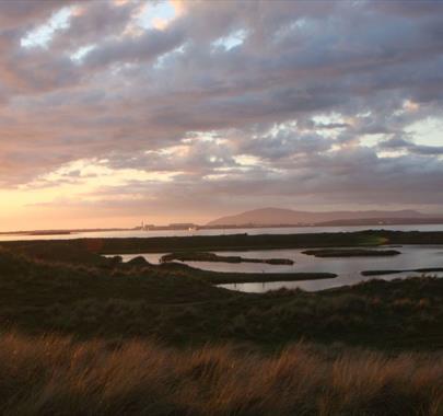 Scenery on Wildlife Tracking Tour with Cumbria Wildlife Trust at South Walney Nature Reserve