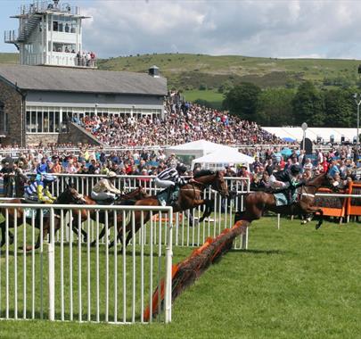 Cartmel Race Days