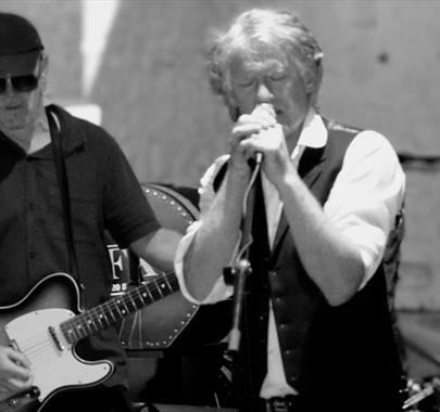 Band The Bathers Duo performing live