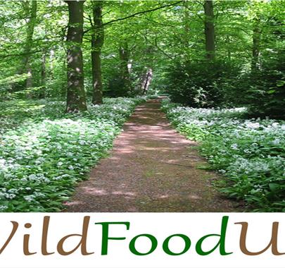 Foraging with Wild Food UK at Dalemain Mansion