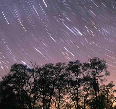 Dark Skies above Whilatter Forest in the Lake District, Cumbria