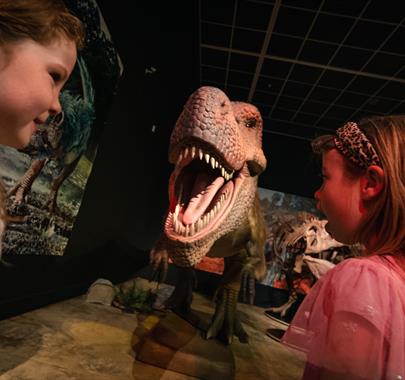 Dinosaur rEvolution