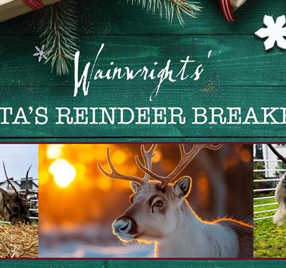Poster for Santa's Reindeer Breakfast featuring photos of reindeer