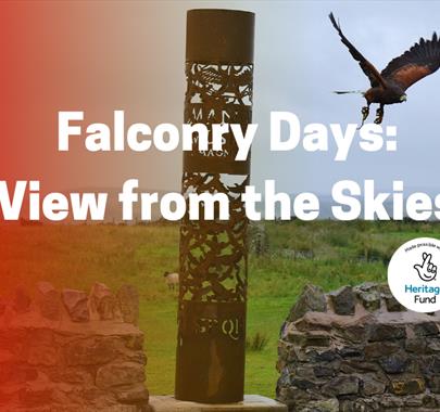 Falconry Days: A View from the Skies