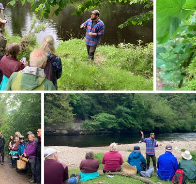 Forage and Feast workshop